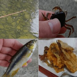 Thumbnail of post image 034